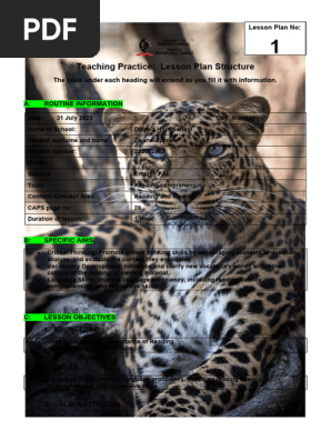 LESSON PLAN 1