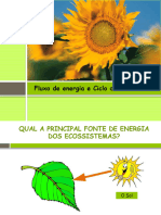 4-Fluxo_Energia_Materia_Sucessoes_Ecologicas