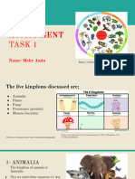 Science Project PDF