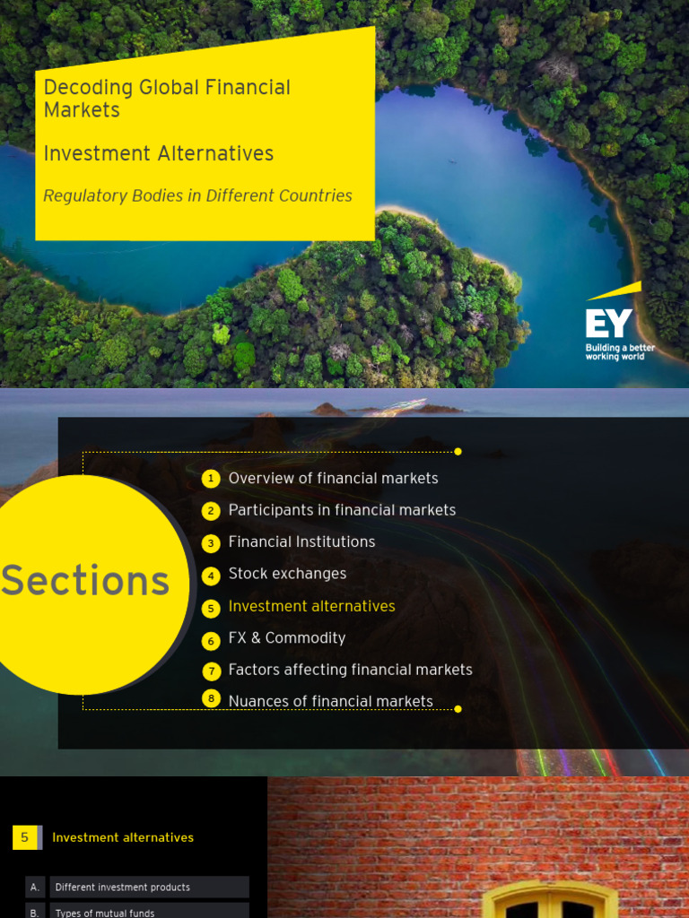 5.C Regulatory Bodies in Different Countries PDF Financial