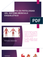 Patologias Del Sistema Musculoesqueletico