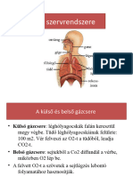 A Légzés Szervrendszere