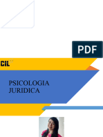 TEMA 1 - Panorama de La Psicología Jurídica y Conceptos Jurídicos.