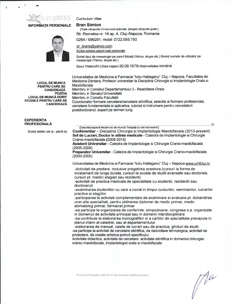 Simion Bran CV | PDF