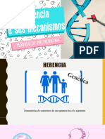 Genetica y Mecanismos de La Herencia