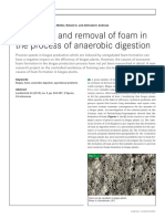 Formation and Removal of Foam in The Process of Anaerobic Digestion