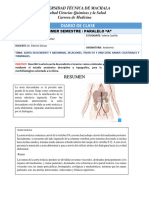 Diario #3 Aorta Descendente