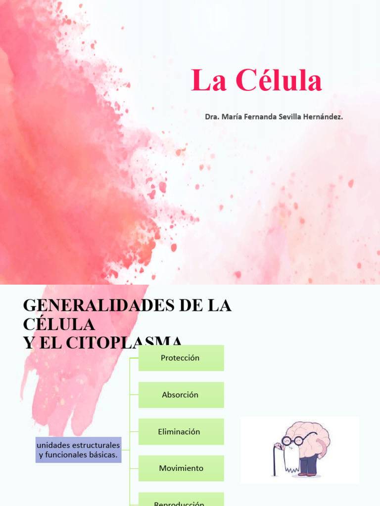 Estructura y Funciones de la Célula | PDF | Membrana celular ...