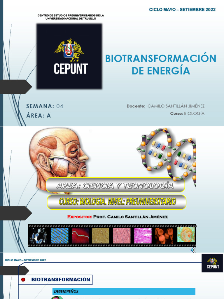 Biotransformacion de Energia | PDF | Fotosíntesis | Fotoquímica
