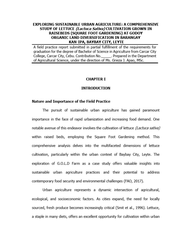 Sustainable Lettuce Farming Practices | PDF | Agriculture | Urban ...