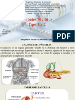 Diabetes Mellitus Tipo 1 y 2