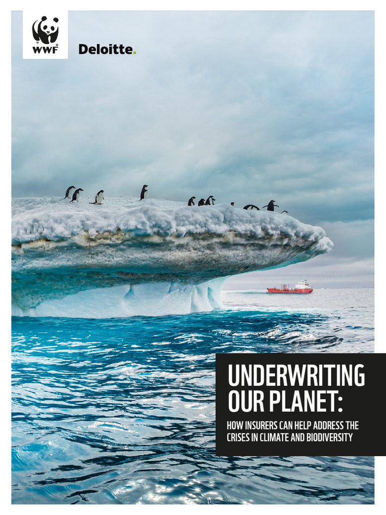 WWF & Deloitte Insurance Biodiversity Climate 2023 Full Report | PDF ...