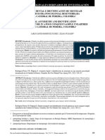 Asimetría Dental e Identificación de Mestizaje