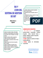 Resumen SG-SST Ley Mod 30222