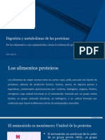 Digestión y Metabolismo de Proteínas