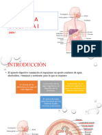 Fisiologia Digestiva I 2023