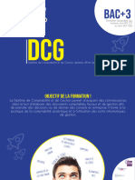 Bac3 DCG Fiche Programme VN