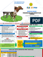 PALU Sosialisasi Bimtek Penandaan 18 Nov 2022