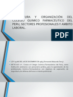 ESTRUCTURA Y ORGANIZACION Del Ambito Profesional