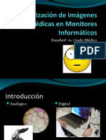 Monitores LCD para Diagnóstico