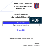 P7 - Ingeniería de Proteínas - Sánchez Zamorano Julio César