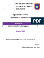 P6 - Exploración de Plásmidos y Genes - Sánchez Zamorano Julio César