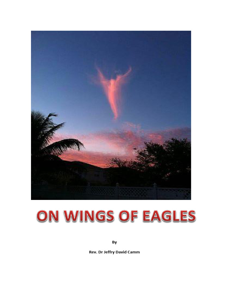 On Wings of Eagles PDF Jesus Salvation