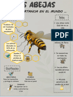 La Importancia de Las Abejas en El Mundo