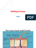 2molting Process