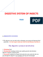 4insect Digestive System