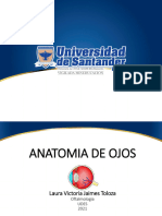 Anatomia Ojos