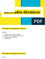 Derivados Dérmicos de Los Vertebrados