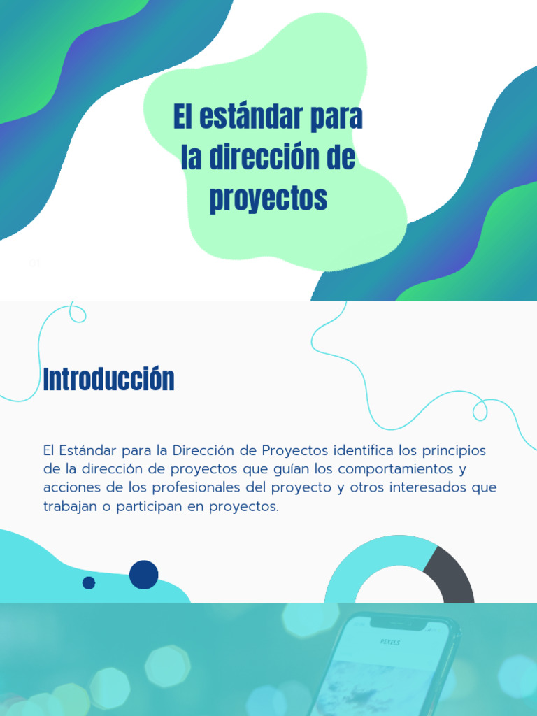 Estándar para la Dirección de Proyectos | PDF | Gobernancia | Business