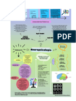 Actividad - Individual Neuropsicologia