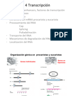 Clase 5 Unidad 4 - Transcripción - Biología Celular y Molecular