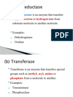 Classification of Enzymes