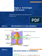 Morfofisiologia I Sesion 2 Osteologia y Artrologia Funcional