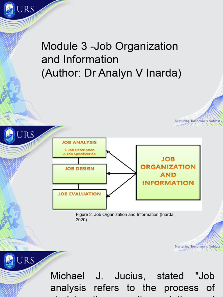 Understanding Job Organization Basics | PDF | Evaluation | Thought