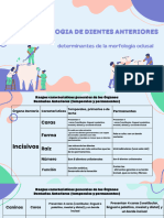 Oclusion PDF