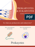 Prokaryotes & Eukaryotes