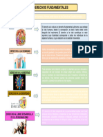 Actividad 1 - Derechos Fundamentales