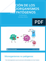 Poblacion Bacteriana Normal