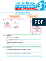 Clasificación Del Ecosistema para Tercer Grado de Primaria