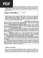 Types of Bird Feathers Explained | PDF | Feather | Ornithology