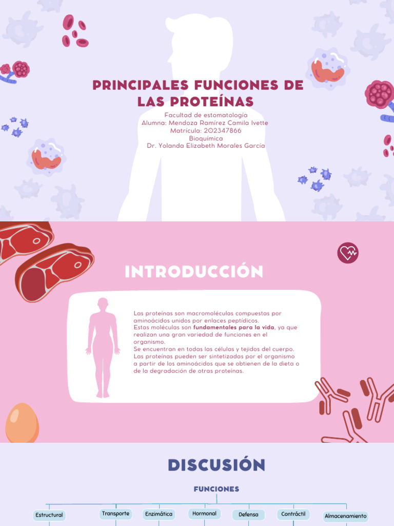 Funciones De Las Proteinas