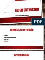 Animales en Extincion