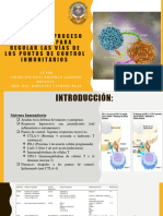 Dirigirse Al Proceso de Ub/Dub para Regular Las Vías de Los Puntos de Control Inmunitarios