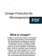 Vinegar Production