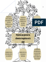 ÁRBOL DE PROBLEMAS - Perjuicios Que Generan Los Alimentos Transgénicos A La Salud - WALTER TINYATA.