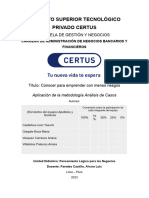 Formato Del Informe El Desarrollo de Los Casos 2023